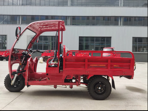 รถสามล้อสำหรับผู้ใหญ่แบบใช้น้ำมันเบนซิน350cc - Product Image 3