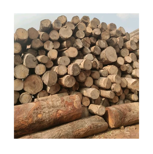 Grumes de bois Meranti-Grade naturel écologique de qualité supérieure avec options de diamètre et de longueur personnalisées - Product Image 1