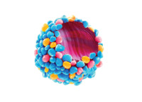 25g/zak Verpakking Beste Keuze Popit Crunchy Gummy Candy Fruitige Smaak Bruine Kubusvorm Melk Cacao Vietnam 12 Maanden