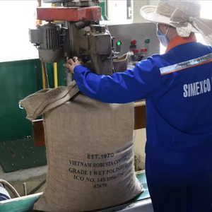 Grains de café vert Arabica du Vietnam de qualité supérieure pour l'exportation et la vente en gros - Product Image 3