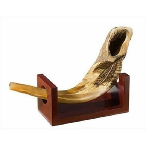 Natural X Tamaño grande Ram Horn Shofar Easy Blow Hecho en Israel - Product Image 4