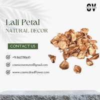Potpourri Kelopak Bunga Lali Kualitas Premium, Rangkaian Bunga Kering Modern Elegan, Warna Sesuai Pesanan untuk Pernikahan, Halloween, Dalam/Luar Ruangan
