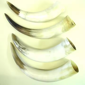 Auténtico cuerno para beber hecho a mano, taza de cuerno Natural tradicional perfecta para cerveza Mead Ale o exhibición decorativa Ideal para regalos - Product Image 5