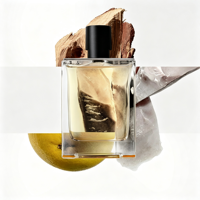 Parfum boisé de luxe pour homme, senteur pamplemousse, cèdre, pierre de flint et vétiver, notes épicées sèches, parfum homme longue durée pour le quotidien et le bureau