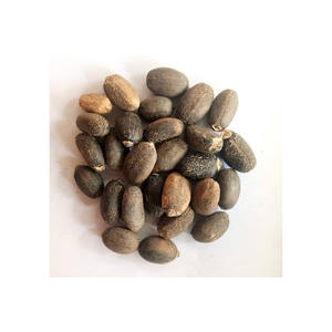 Vente en gros de graines de jatropha séchées en vrac de haute qualité, livraison rapide, approvisionnement sécurisé à l'exportation - Product Image 1