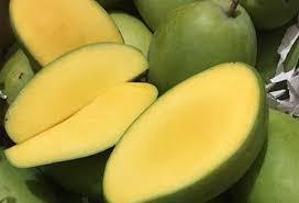 100% bocadillos de mango secos orgánicos naturales sin OGM rebanadas de fruta bajas en azúcar sin azúcar suaves secas usadas directamente - Product Image 6