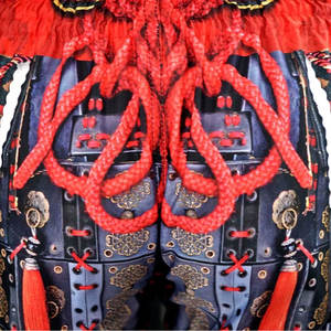 Shorts Muay Thai à impression personnalisée Offre Spéciale sur Kimono de Jiu Jitsu Shorts Muay Thai en matériau durable - Product Image 6