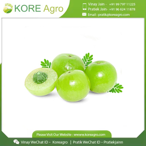 Hữu cơ <span class=keywords><strong>Amla</strong></span> toàn bộ thảo mộc chiết xuất Hoang Dã-trồng cấp thực phẩm bột nóng bán từ Ấn Độ nhà sản xuất và Nhà cung cấp - Product Image 2