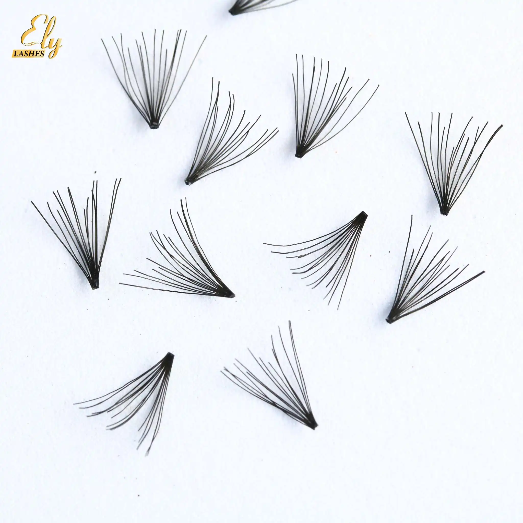 Individual Cluster Lashes Knot Free Eyelashes 2D-20D/1000 Fans PBT Fiber Private Logo Good Retention ELYLASHES Supplier