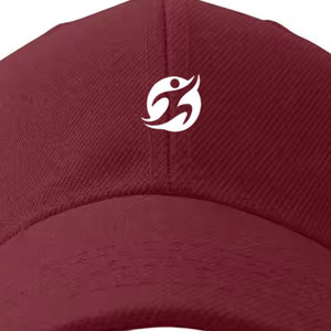 Gorras de Béisbol Personalizadas para Deportes al Aire Libre, Transpirables, de Malla, de 5 Paneles, 100% Algodón, Impermeables, Ajustables, Plateadas y Cobrizadas - Product Image 4