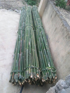 NOUVEAU PRODUIT PÔLE DROIT EN BAMBOU DE FABRICATION DU VIETNAM PERSONNALISÉ PAR DEMANDE - Product Image 6