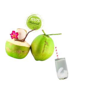 Produit de l'agriculture vietnamienne à la noix de coco fraîche avec une touche de nature - Product Image 6