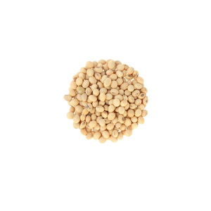 Soja orgánica de alta calidad (soja/soja) sin OGM y sin OGM, soja seca y empaquetada a granel a la venta - Product Image 3
