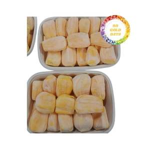 ขนมขนุนแช่แข็งจากเวียดนามที่คงรสชาติดั้งเดิมเหมาะสำหรับการเติมเครื่องดื่มแช่แข็งเบเกอรี่และการเตรียมอาหารหวาน - Product Image 3