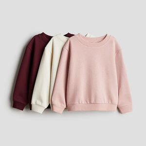 Kids Heavy Fleece Pullover Sweatshirt Cotton Blend O-Neck Graphic Print OEM Bulk Wholesale Branded High Quality Kid Comfort Wear - Product Image 4