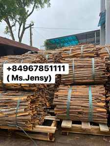 Alta calidad Vietnam seco Split Cassia canela al por mayor muestra gratis - Product Image 2