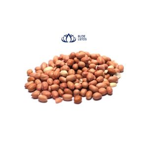 เมล็ดถั่วลิสงอินทรีย์ส่งออกจากเวียดนาม - Product Image 4