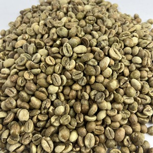 Highland Robusta S18 Vietnam Gros haricots séchés au soleil cueillis à la main avec corps audacieux et finition lisse pour les torréfacteurs - Product Image 2