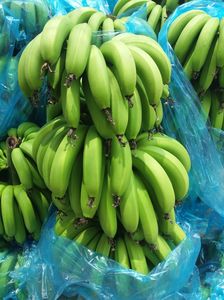 Banane Cavendish 100% Fraîche Nouvelle Récolte Grande Taille Fraîche et Biologique pour la Vente en Gros - Product Image 2
