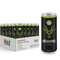 Hoge Kwaliteit-250Ml Koolzuurhoudende Sport Dragon Energy Drink Vietnam Leverancier-Drankproductie-Gratis Monster-Private Label