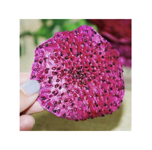 Fruta de dragón seca suave, bocadillo en rodajas de excelente calidad para distribución al por mayor, servicio de alimentos - Product Image 1