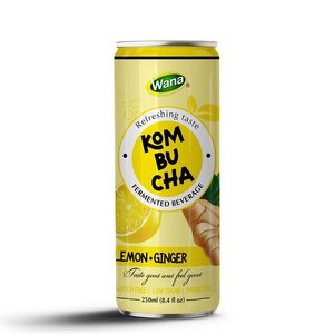 Kombucha เครื่องดื่มชาผลไม้ประกายรสหวานทำจากอลูมิเนียมขนาด250มล.