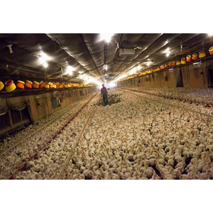 <span class=keywords><strong>Pre</strong></span> kỹ thuật Bộ dụng cụ Cấu trúc kim loại duy nhất khoảng ánh sáng đo nhà với giá thấp - Product Image 4