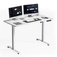 Bureau de travail électrique ergonomique moderne haut de gamme à moteur unique, réglable en hauteur, plateau en bois, table de jeu, garantie 5 ans