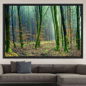 Printed Canvas: Forest Landscape Wall Art in Tempered Glass Design,<b>BLACK</b> <b>FRAMED</b> CANVAS - Product Image 1