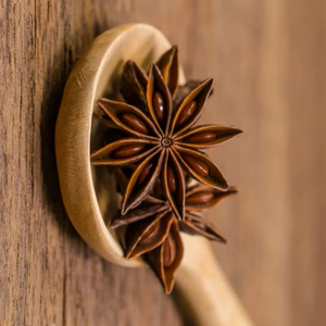 Anís estrellado fresco y seco de la mejor calidad de Vietnam para exportación - Product Image 1