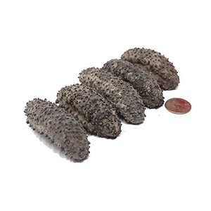 Concombre de mer frais séché au soleil Offre Spéciale 20000kg Meilleur prix! - Product Image 5