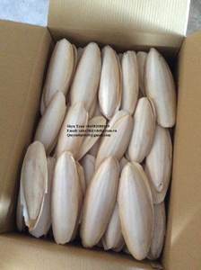 กระดูกปลาหมึก กระดูกปลาหมึกแห้ง - คุณภาพสูง - ราคาดีที่สุด - เวียดนาม - เอธาน - Product Image 6