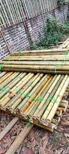 Cañas de bambú duraderas de Vietnam para enrejar soporte y construcción de frutas ofrecidas a precios de exportación competitivos - Product Image 2