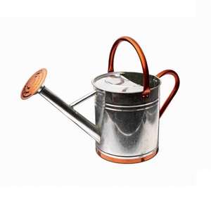 Regadera galvanizada de acero inoxidable hecha a mano, macetas de interior y exterior de último diseño para plantas - Product Image 1