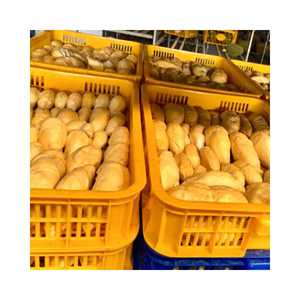 CALIDAD DE EXPORTACIÓN DE GRANDES PIEZAS DE DURIAN CONGELADO DE VIETNAM CON EL PRECIO MÁS BARATO AL POR MAYOR-LISTO EN STOCK IQF FRUTAS CONGELADAS DURIAN - Product Image 4