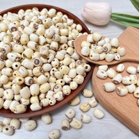 Graines de lotus pelées de qualité supérieure, vente en gros, quantité en vrac, graines de plantes provenant de fleurs de lotus d'origine vietnamienne