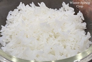 Premium Jasmine Rice arroz blanco de grano largo África Venta al por mayor 2025 Riz Au Jasmine Perfume Rice | WA 0084812832899 - Product Image 2