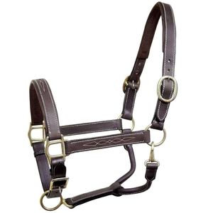 Horse Headstall Custom Adjustable Nylon Horse Halter Strong <b>Strip</b> Nylon Webbing With Adjustable - Product Image 6