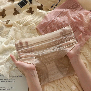 UW14 Sous-vêtement en dentelle taille haute avec motif en maille florale style vintage doux et respirant idéal pour le confort et l'élégance au quotidien - Product Image 4