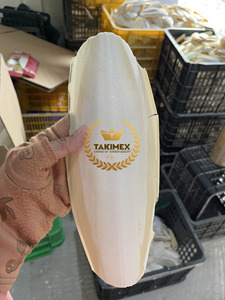 Orgánica Sepia Knochen Tintenfischknochen hueso de sepia para la alimentación de aves suplemento de calcio hecho en Vietnam - Product Image 5