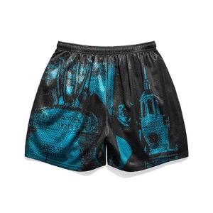 Logo personnalisé été de base grande taille hommes imprimé Shorts pour hommes Paisley Shorts hommes 100% polyester de qualité supérieure maille - Product Image 1