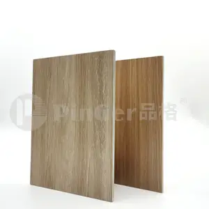 Trang trí tường bao gồm Panels, vinyl trang trí tường Panel tấm cho nội thất và ngoại thất tường trang trí