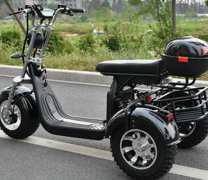 Nouveauté : Scooter électrique adulte à 3 roues, moteur 2000W, vitesse maximale 35-45 km/h, charge maximale 250 kg - Product Image 2