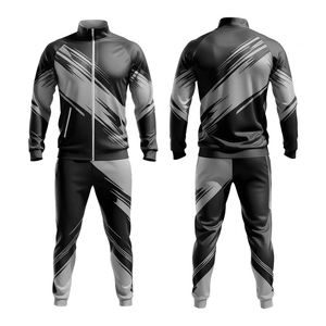 Nouveauté Ensemble de survêtement pour homme Survêtement ample à blocs de couleur Survêtement de fitness de luxe Survêtements d'hiver pour hommes Ensemble deux pièces Survêtements - Product Image 2