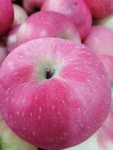 Mele Fuji Rosse Biologiche Dolci e Fresche dalla Cina, Prezzo all'Ingrosso, Nuovo Raccolto di Frutta e Verdura Succosa - Product Image 2