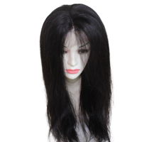 <strong>Best</strong> Grade 100% Human Hair Remy <strong>Wig</strong> Full Lace Hand Tied Long Natural Straight Vietnamese Transparent HD Color High Quality