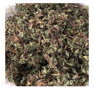Pennywort seco/Gotu Kola seco de 99GD Vietnam Exportación estándar de alta calidad con precio competitivo - Product Image 3