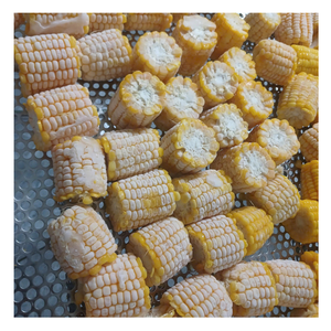 Maíz congelado con sabor dulce Maíz congelado de Vietnam empacado para uso en comidas congeladas, Cocina Rápida, cafeterías y restaurantes - Product Image 4