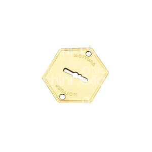 PLACA EXTERNA AMBIDIESTRO para cerraduras serie: 40-43-45-52-54-62-68-72 y para serie: 20 501 - 65 100 - Product Image 1