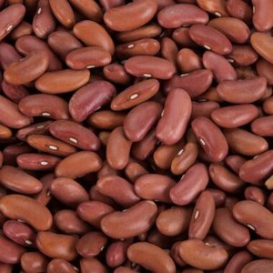 EXPORT SUPER Organic Bulk Wholesale Dried Dark Red Kidney <b>Beans</b> | Sugar <b>Beans</b> for Export - Product Image 3